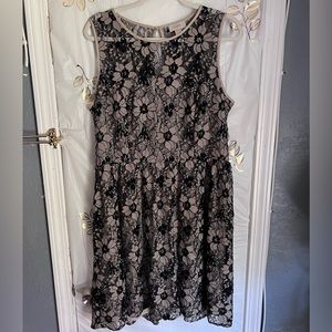 Beautiful Loft Lace Overlay Dress